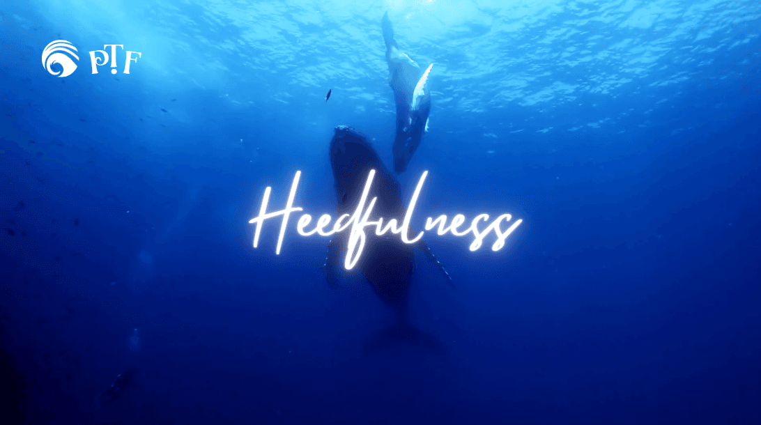 Heedfulness